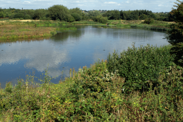 Sandwell Country Park