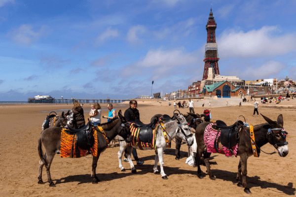 Blackpool Beach Donkeys