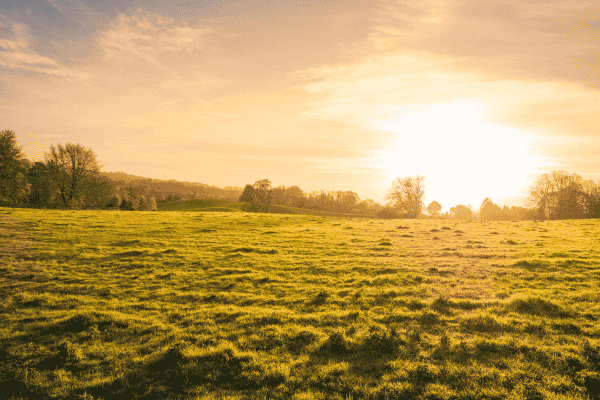 West Midlands events round up - September 2025