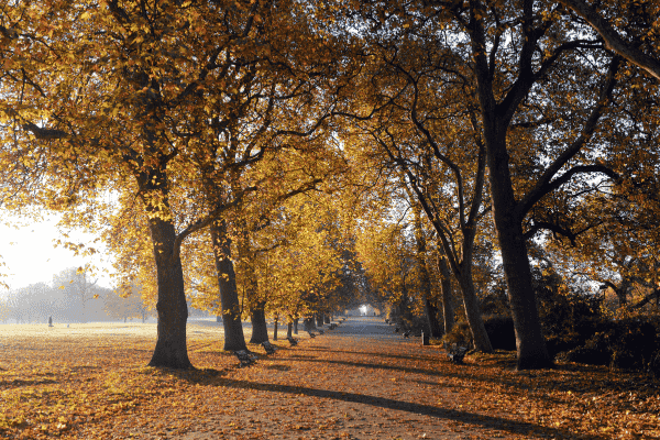 Top parks to visit across Coventry.