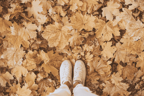 Top parks to visit across the West Midlands