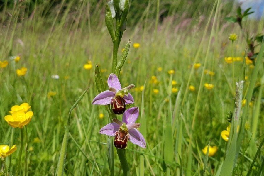 The great West Midlands outdoors